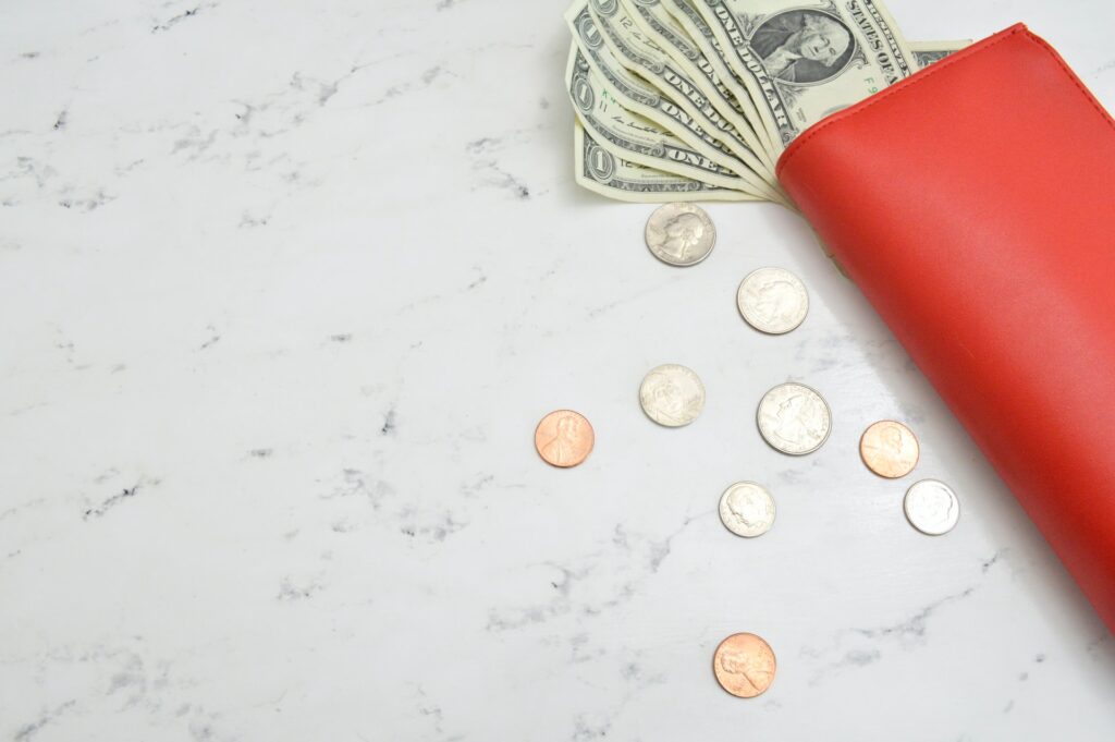 海外在住日本人が起業して月収100万円を達成するためにした3つのこと